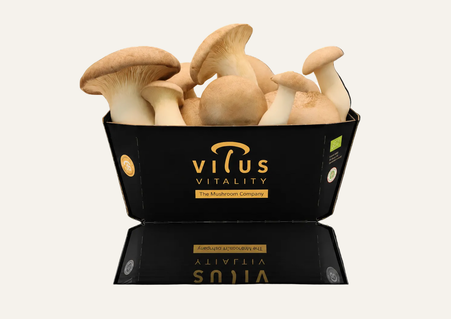 Bio-Kräuterseitling